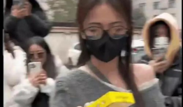 娱乐爆料免费吃瓜视频,免费吃瓜视频带你畅游明星幕后生活