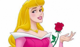 动漫公主,公主的奇幻冒险之旅