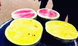 最新吃瓜爆料免费观看开平